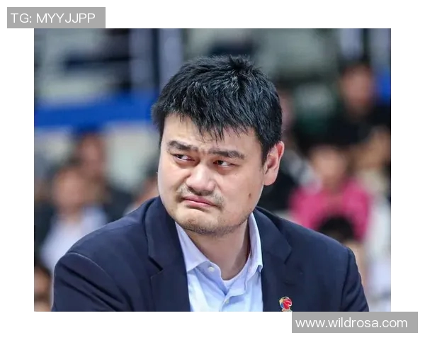 姚明红山惨案背后的真相与影响探讨及其对中国篮球的深远意义