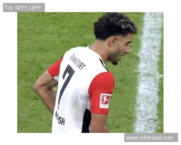 弗兰克福逆袭绝胜，终止汉堡连胜！