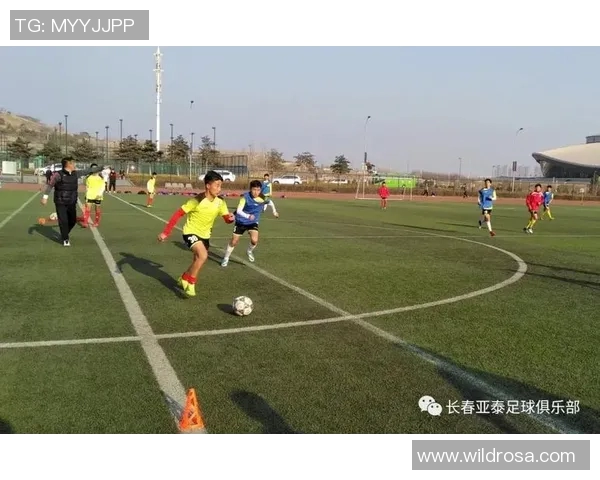 德甲青训崛起，后备人才蓄势待发