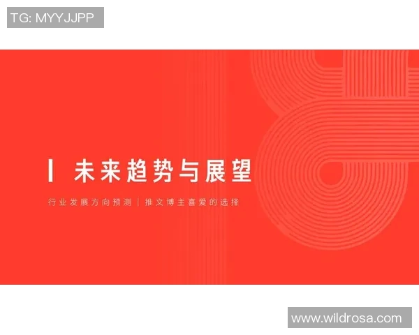 权威发布网球团队协作实力榜单揭示顶尖队伍表现与潜力分析