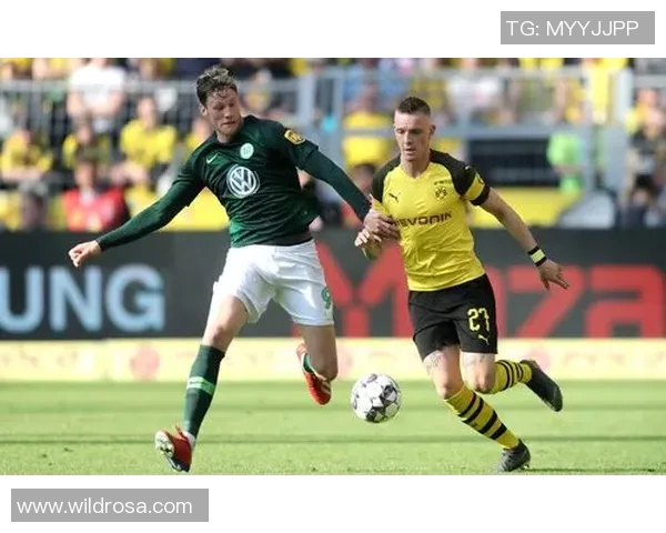 沃尔夫斯堡队德甲联赛成绩飘红，展现出色实力和无限潜力